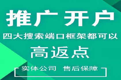 企业SEM托管服务成功案例分享